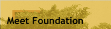 Meet Foundation